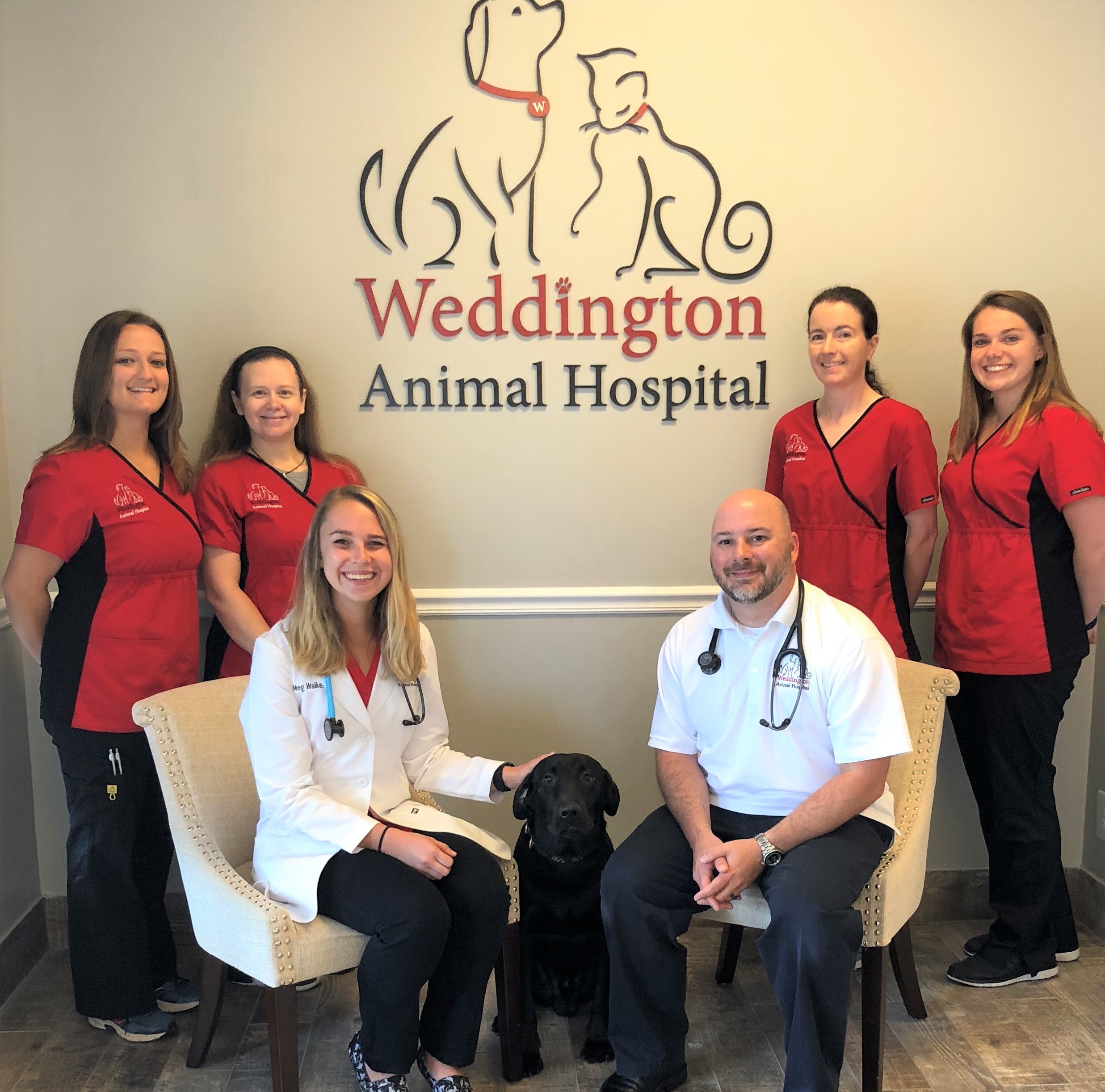 Wesley Chapel Animal Hospital